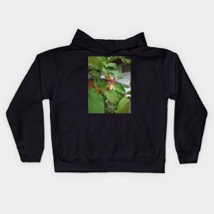 Young Crab Apple Kids Hoodie